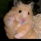 abigail_marquez avatar