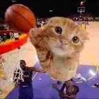 allhopeislost avatar