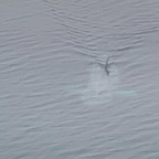 astrix99998887776665544 avatar