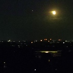 Profile picture of carva