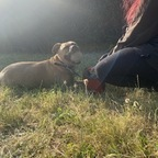 crazygirl19998 avatar