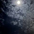 delicious.rainbow avatar