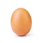 egg_slut avatar