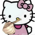 h3llok1ttyb1tch avatar