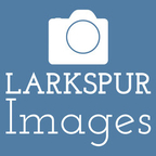 larkspurimages avatar