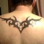 louisianatexan avatar