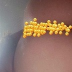 mexicanmami666 avatar