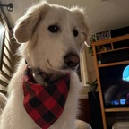 misseskittykat avatar