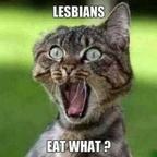 mshell_atwater avatar