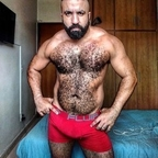 musclebearbrazil avatar