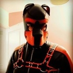 puppjay avatar