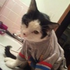 sockman avatar