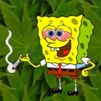 spongebob420 avatar