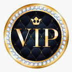 starrynightsvip avatar