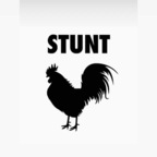 stunttcock avatar