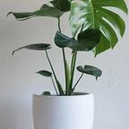 Profile picture of tewlyfans