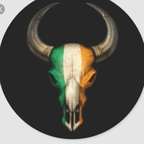 Profile picture of the_irishbull