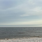 thebighairybear avatar