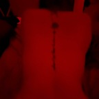 thewildlifewithyou avatar