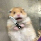 twinkle_toes43 avatar