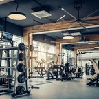 urspicylatina avatar