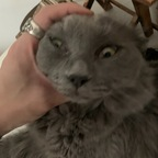 yasminshazimie avatar