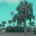 Profile picture of zanesville